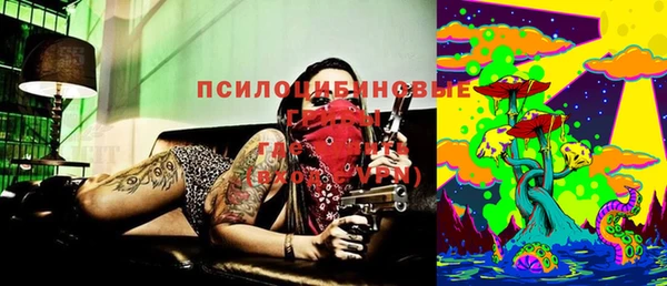 прущий лед Абаза