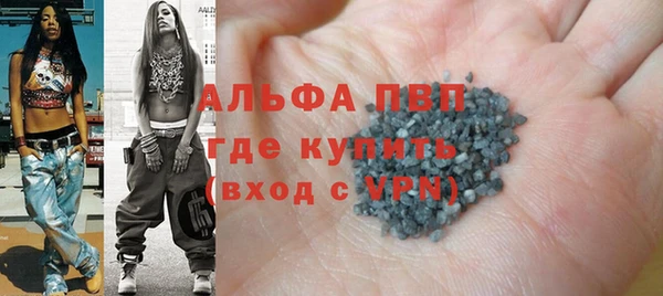 сатива Аркадак