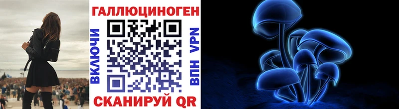 хочу   Нальчик  Псилоцибиновые грибы Cubensis 